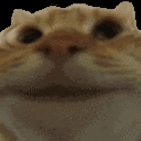 yescat