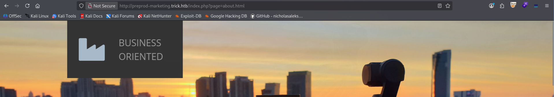 LFI-looking URL